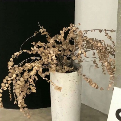 Furry绘画改稿思路兽圈群